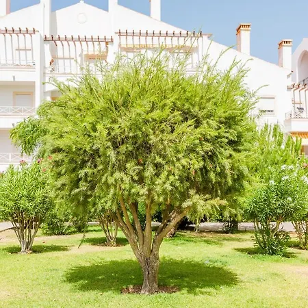 Appartement Alfamar At Da Falesia Albufeira